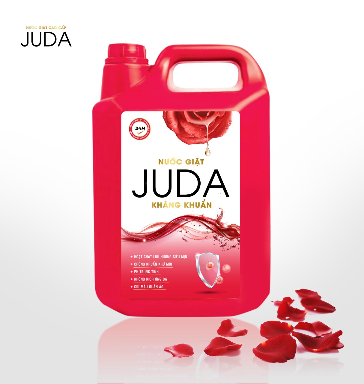 z2958399449517_9e413c9a8f8bc14ff57fe0630e5e2c5c (1)